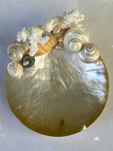 Christa's South Seashell Shell Caviar Dish