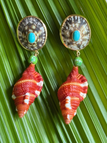 Cymbatium Shell Drop Earrings with Turquoise
