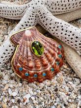 Lion's Paw Shell Brooch with Peridot & Amazonite