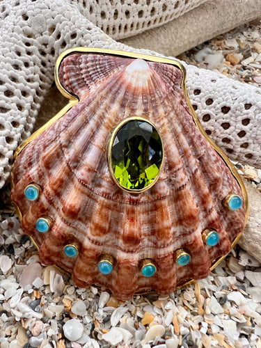 Lion's Paw Shell Brooch with Peridot & Amazonite