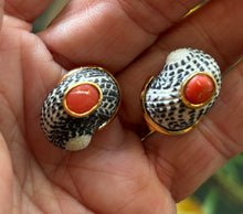 14-karat Gold Nerite Shell Earrings with Red Coral
