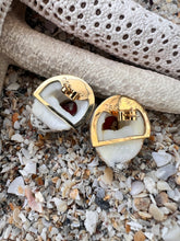 10-karat Gold Nerite Shell Earrings with  Italian Red Coral