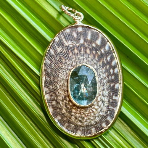 Blue Limpet Shell Pendant set with Alexandrite