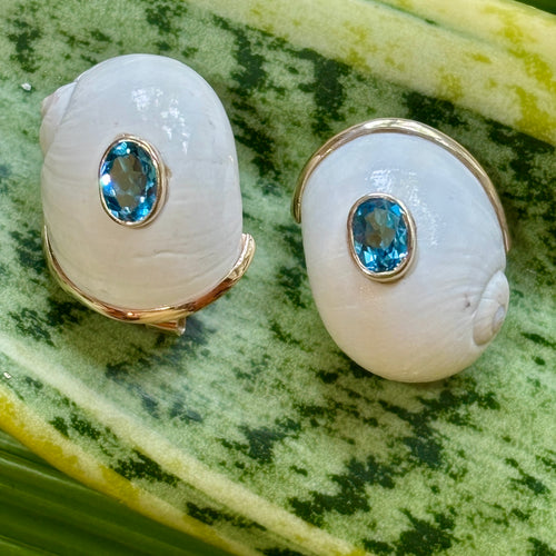 White Natica Shell 