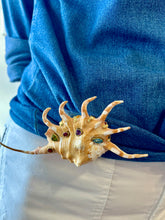 Spider Conch Shell Brooch with Gemstones