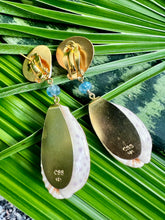 Cyprea Shell Drop Earrings with Kyanite & Tourmalines