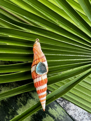 14-karat Mitre Shell Lorelei Charm with Tourmaline