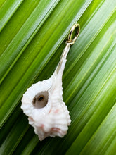 14-karat Gold Lorelei Whelk Shell Charm with Garnets