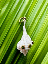 14-karat Gold Lorelei Whelk Shell Charm with Garnets