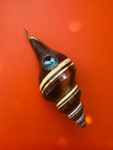 Puglia Tupiniquim Shell Pendant with Swiss Blue Topaz