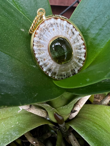 Limpet Shell Pendant with Emerald