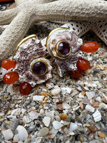 Delphinula Shell Earrings with Carnelian & Amethyst