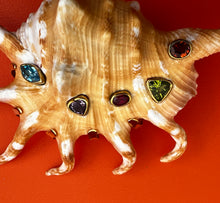 Spider Conch Shell Brooch with Gemstones