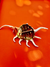 Spider Conch Shell Brooch with Gemstones