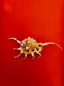 Spider Conch Shell Brooch with Gemstones