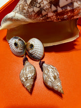 Tulip Shell Drop Earrings with Sapphires