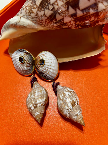 Tulip Shell Drop Earrings with Sapphires