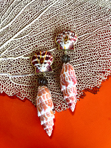 Mitre Shell Drop Earrings with Citrine