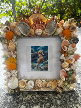 CSS Seashell Photo Frame