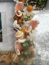 CSS Seashell Photo Frame