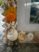CSS Seashell Photo Frame