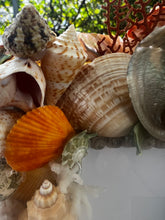CSS Seashell Photo Frame