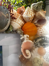 CSS Seashell Photo Frame