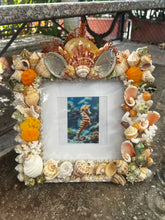CSS Seashell Photo Frame