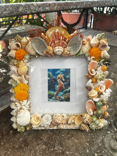 CSS Seashell Photo Frame