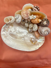 CSS Pearled "What-not" Shell Dish