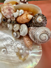 CSS Pearled "What-not" Shell Dish