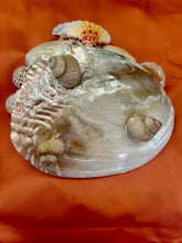 CSS Pearled "What-not" Shell Dish