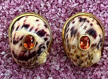 Nerite Shell Earrings with Spessertine Garnet