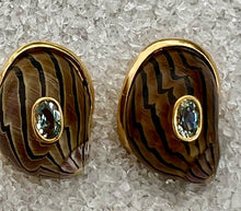 Nerite Shell Earrings with Aquamarine