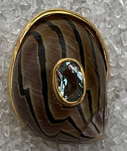 Nerite Shell Earrings with Aquamarine