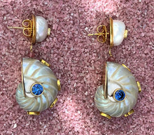 Nautilus Drop Earrings with Ruby and Pearl