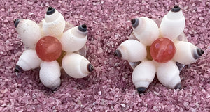 Button Shell Earrings with Pink Quartz