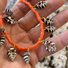 Coral Bead & Beehive Shell Neclace