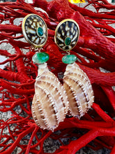 Harpa Shell Drop Earrings with Green Onyx