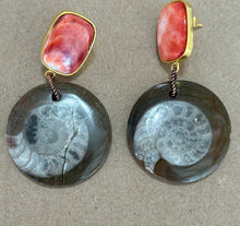 Fossil Shell & Spondilius Earrings