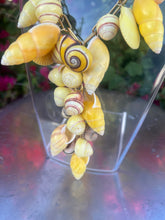 CSS Naturally Yellow Shell Necklace