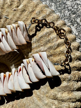 Cone Shell Choker Necklace with Spondilius