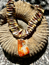 Cone Shell Choker Necklace with Spondilius