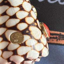 Conus Marmoreus  Fob set with Italian Coral