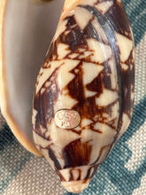 Bat Volute Shell Fob with Tsavorite & Moissanite