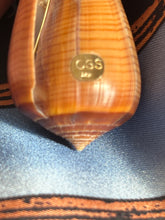 Brown Conus Shell Fob with London Blue Topaz