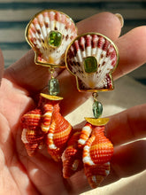 Cymabatium Shell Earrings with Peridot