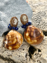 14-karat Gold Cockle Shell Earrings with Kyanite Briolettes
