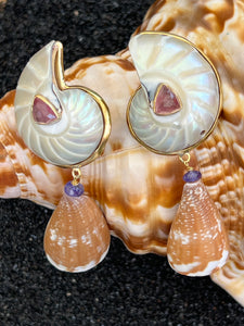 Nautlilus & Cone Shell Drop Earrings with Tourmaline