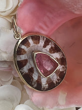 14-Karat Lorelei Limpet Charm with Tourmaline